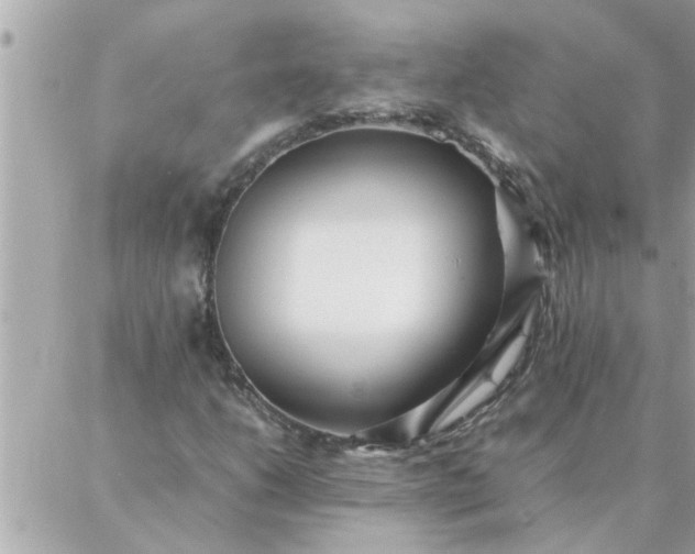 X0000087361206200705041846