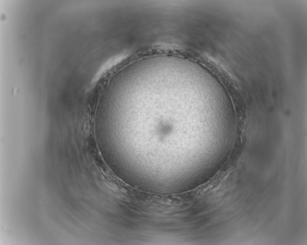 X0000087361207200705041846