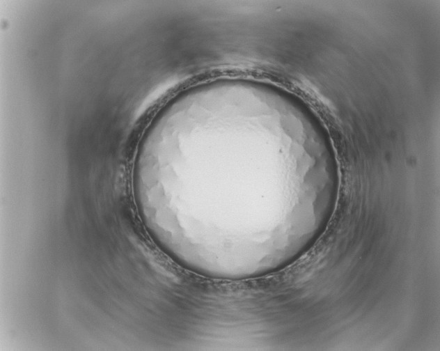 X0000087361208200705041846