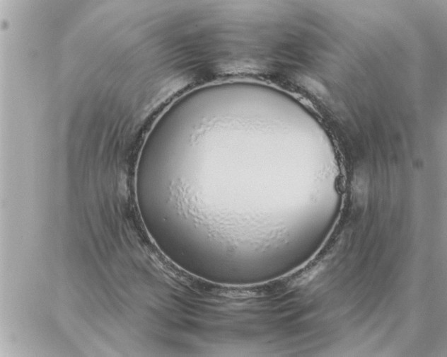 X0000087361209200705041847