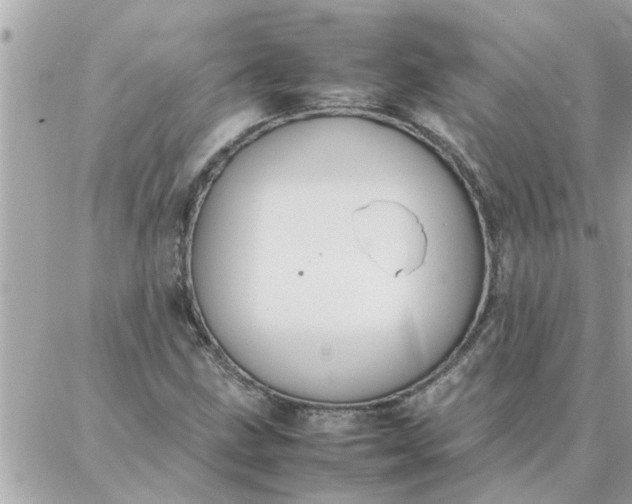 X0000087361211200705041847