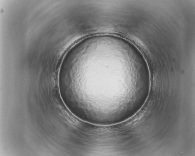 X0000087361212200705041847