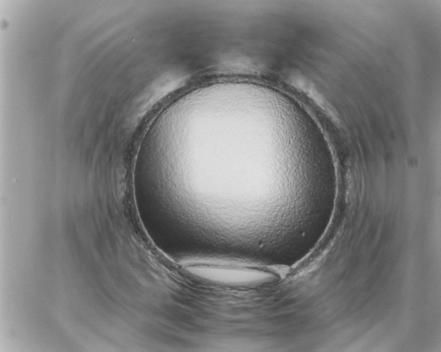 X0000087361213200705041847