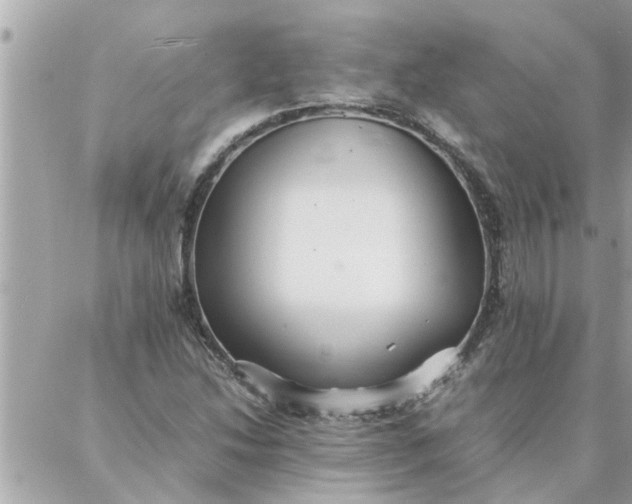 X0000087361214200705041847