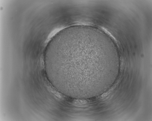 X0000087361215200705041847