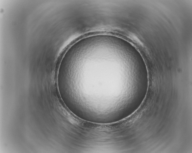 X0000087361216200705041847