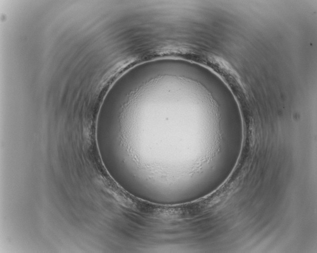 X0000087361217200705041847