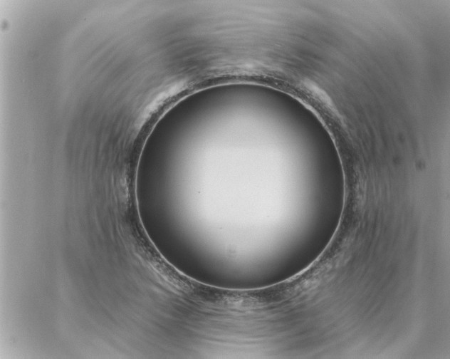 X0000087361218200705041847