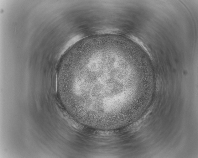 X0000087361219200705041847