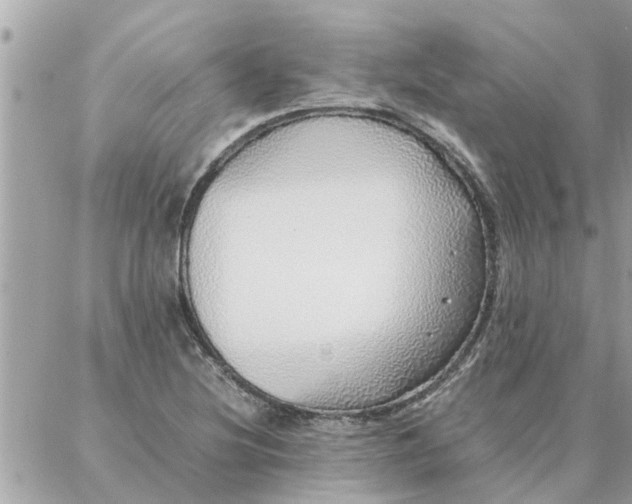 X0000087361220200705041847