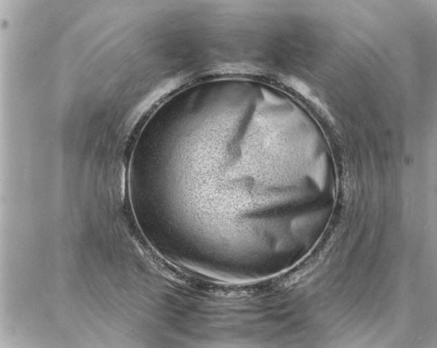 X0000087361221200705041847