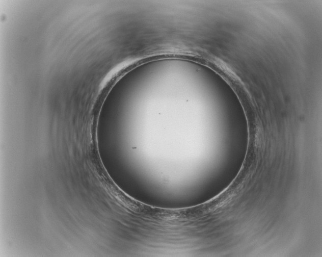 X0000087361222200705041847