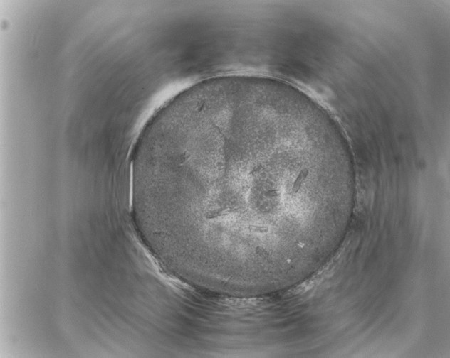 X0000087361223200705041847