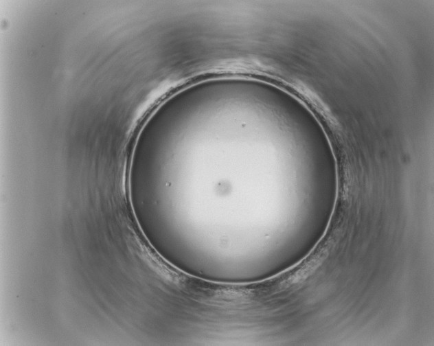 X0000087361224200705041847