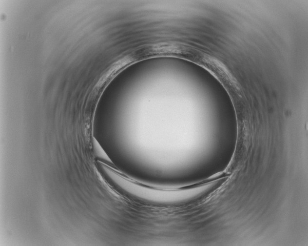 X0000087361225200705041847