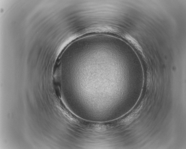 X0000087361226200705041847