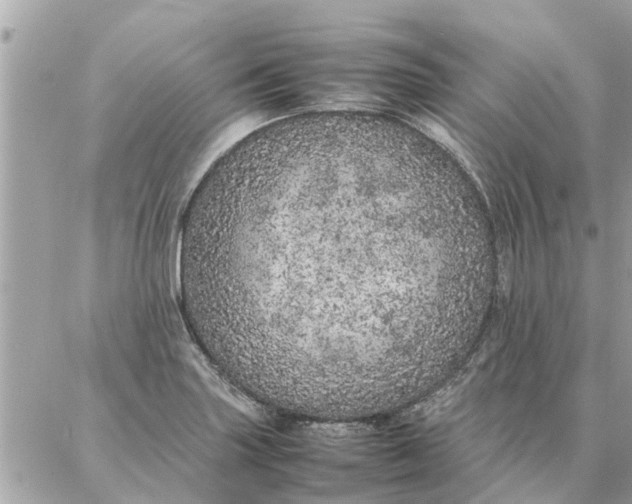 X0000087361227200705041847