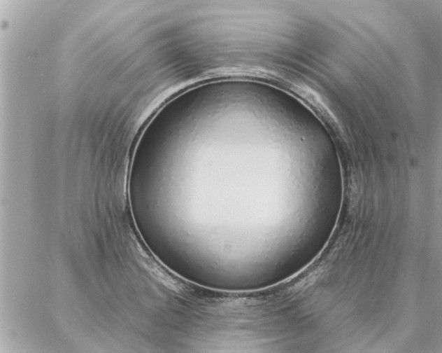 X0000087361228200705041847