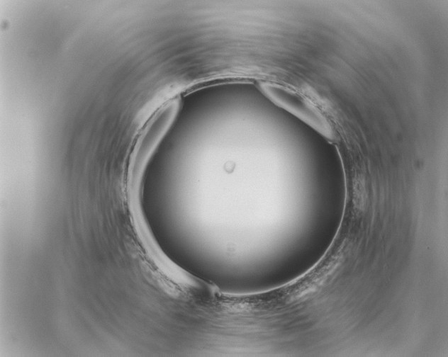 X0000087361230200705041847