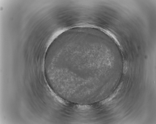 X0000087361231200705041847