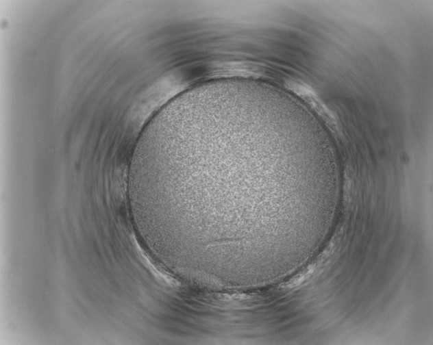 X0000087361233200705041847