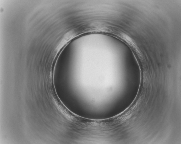 X0000087361234200705041847