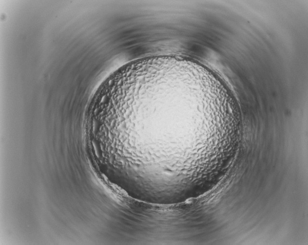 X0000087361235200705041847