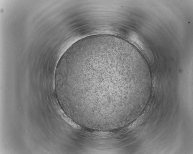 X0000087361236200705041847