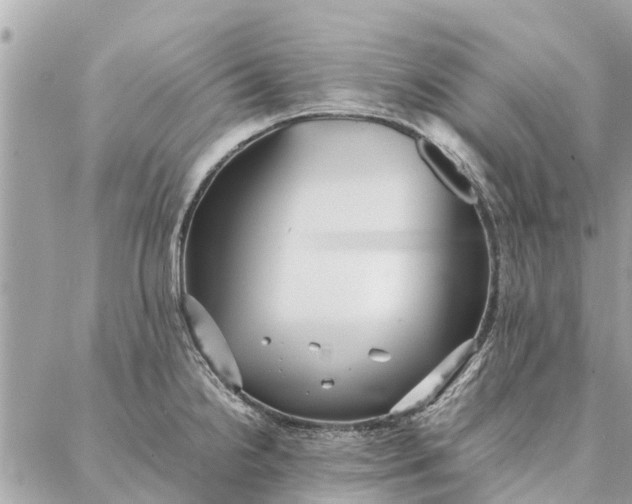 X0000087361238200705041847