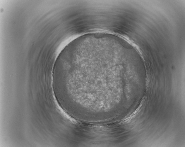 X0000087361239200705041847