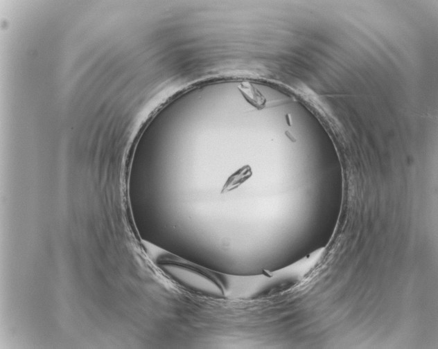 X0000087361240200705041847