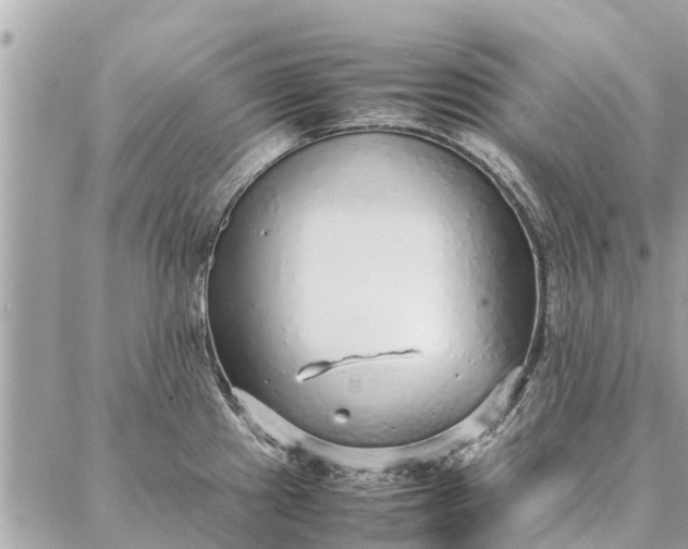 X0000087361241200705041847