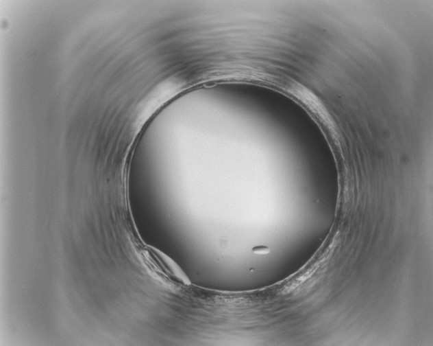 X0000087361242200705041847