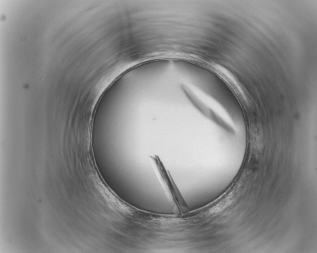 X0000087361244200705041847