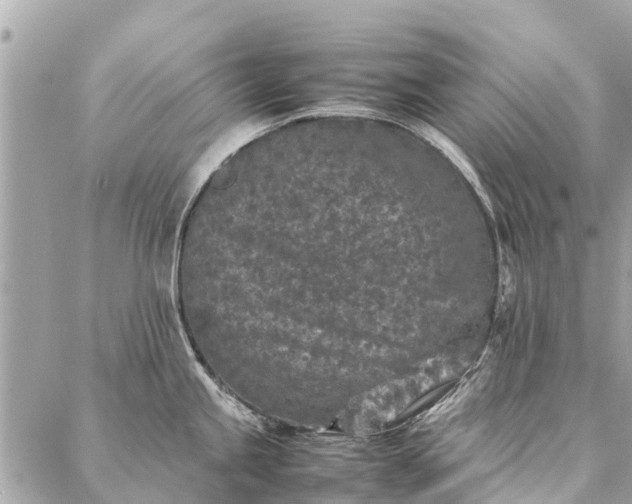 X0000087361245200705041847