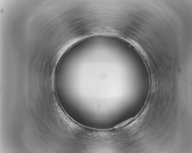 X0000087361246200705041847