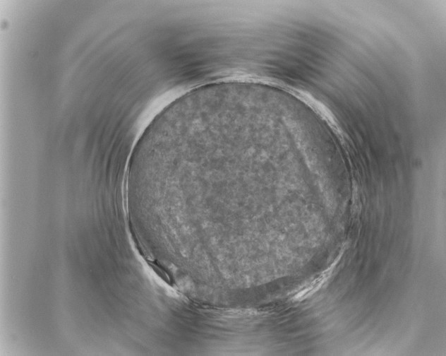 X0000087361247200705041847