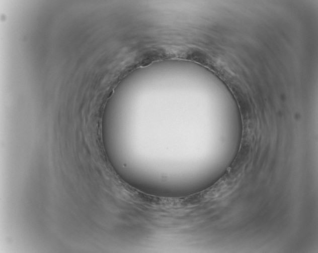 X0000087361249200705041846