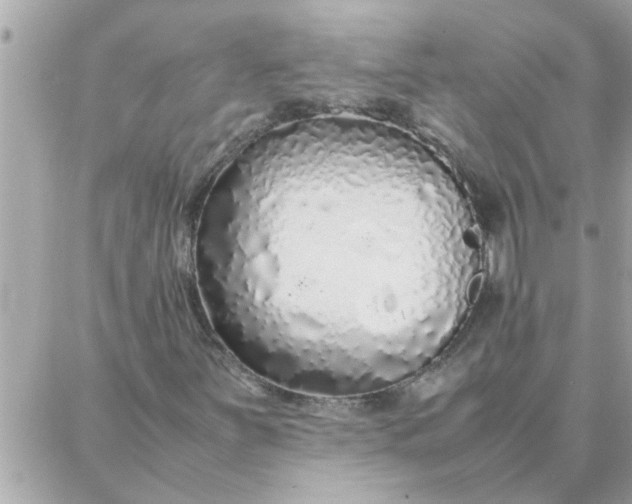 X0000087361251200705041846