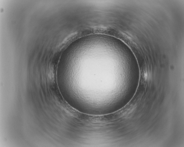 X0000087361252200705041846