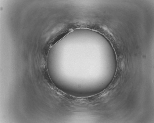 X0000087361253200705041846