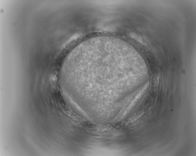 X0000087361254200705041846