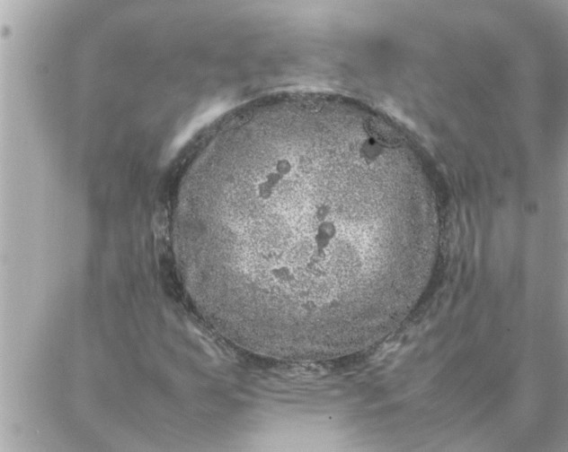 X0000087361255200705041846