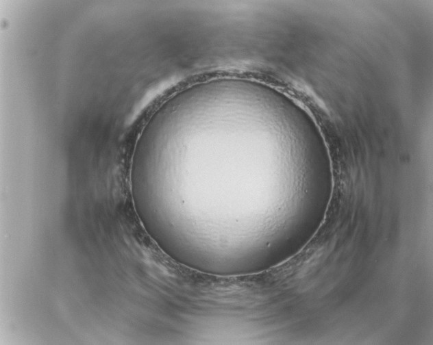 X0000087361256200705041846