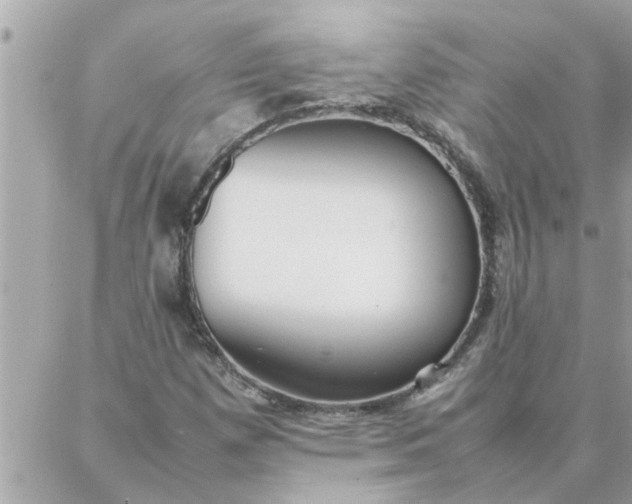 X0000087361257200705041846