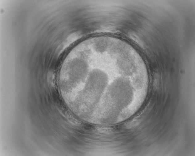 X0000087361258200705041846