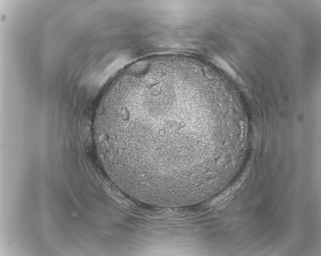 X0000087361259200705041846