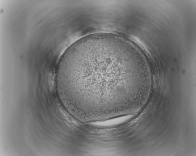 X0000087361260200705041846