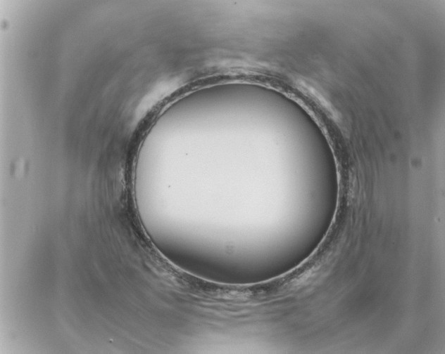 X0000087361261200705041846