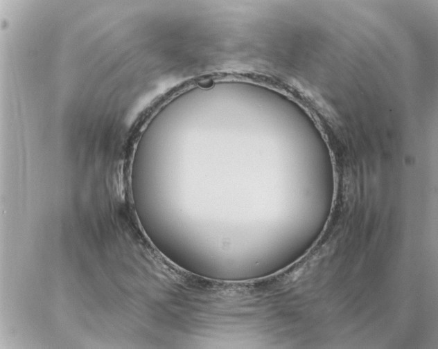 X0000087361262200705041846